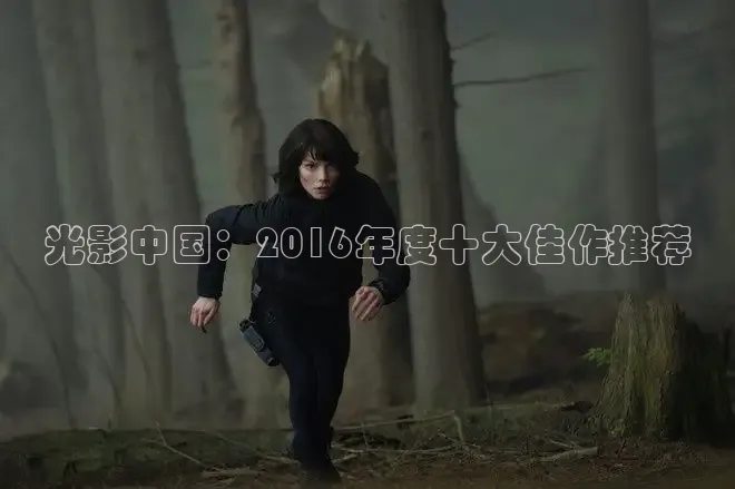 光影中国：2016年度十大佳作推荐