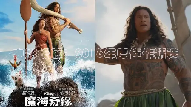 电影长廊：2016年度佳作精选